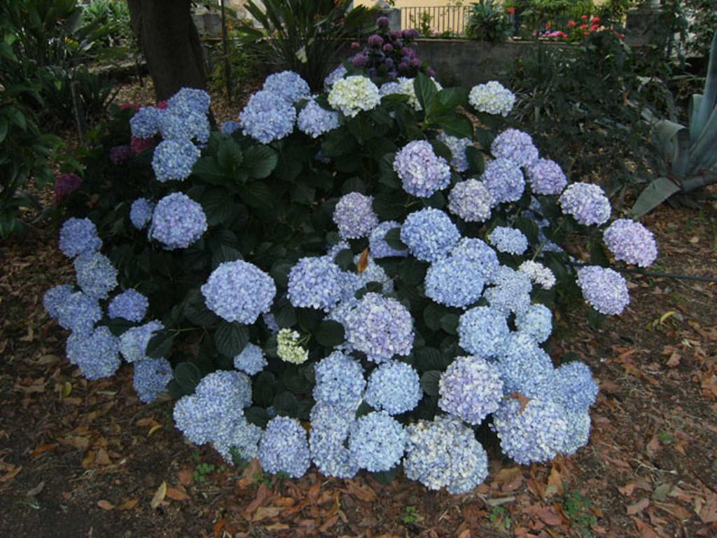 Baglio Delle Rose Panzió Giarre Kültér fotó
